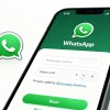 WhatsApp禁用现象观察：原因影响与个人组织应对建议