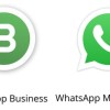 设置whatsapp名字的实用技巧与隐私注意事项帮助提升沟通体验