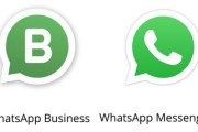设置whatsapp名字的实用技巧与隐私注意事项帮助提升沟通体验