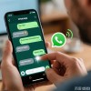 深入解析whatsapp网络连接原理与常见问题排查方法