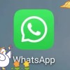 我用WhatsApp半年后对日常沟通与工作效率的真实感受
