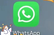 我用WhatsApp半年后对日常沟通与工作效率的真实感受