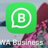 whatsapp为什么用不了常见原因与逐步排查方法完整指南