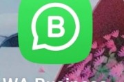 whatsapp为什么用不了常见原因与逐步排查方法完整指南