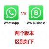 Viber WhatsApp即时通讯软件功能对比与选择建议
