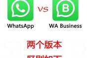Viber WhatsApp即时通讯软件功能对比与选择建议
