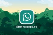 whatsapp已读回执开关怎么设置关闭后双方都看不到已读状态