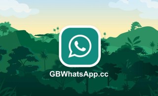 whatsapp已读回执开关怎么设置关闭后双方都看不到已读状态