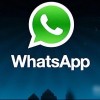 WhatsApp Java开发指南：从接口集成到企业消息应用实践