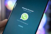 whatsapp的勾背后藏着怎样的消息状态与沟通心理