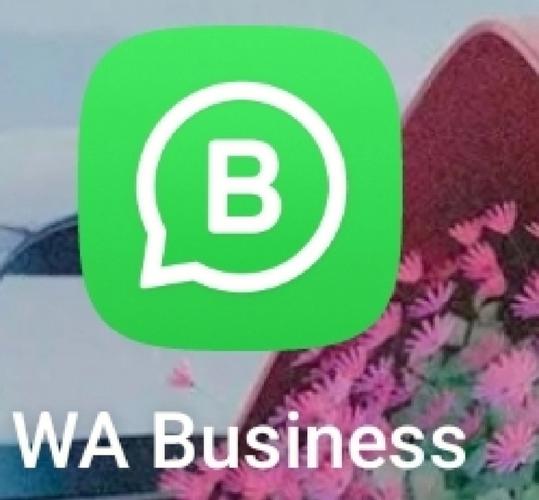 whatsapp为什么用不了常见原因与逐步排查方法完整指南 whatsapp为什么用不了常见原因与逐步排查方法完整指南