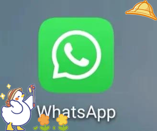 我用WhatsApp半年后对日常沟通与工作效率的真实感受