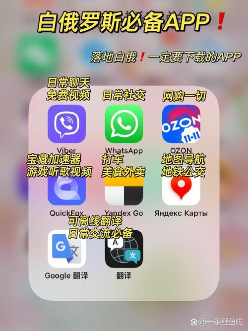 WhatsApp最近功能更新与隐私保护趋势全面观察